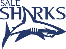 sharks logo png vector eps free