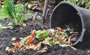 Best Compost Bin For Your Home The