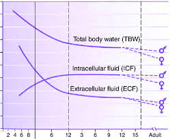 total body water intracellular fluid