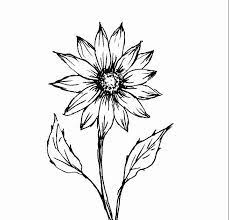 Jika iya, tanaman atau bunga apa yang paling kamu sukai. Gambar Bunga Matahari Dengan Pensil