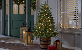 Tree Ideas The Home Depot