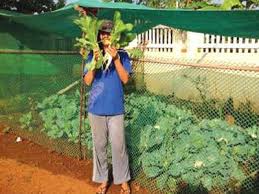 Goa As S Soar Kitchen Gardeners