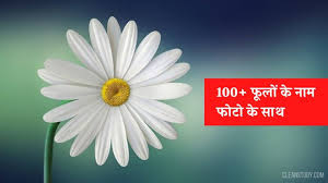 flowers name in hindi 100 फ ल क न म