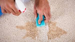 carpet stain removal tips for