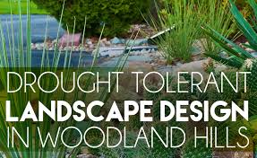 Best Landscape Designers In Woodland Hills