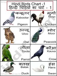 Hindi Birds Chart Hindi Language Learning Hindi