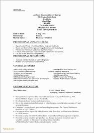 Game Tester Resume New Resume Objective Examples Software