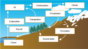 Diagram of the water cycle    