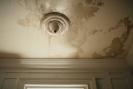 How To Find Mold In Your House