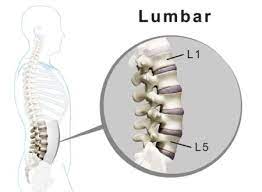 l2 l3 treatment of disc bulge nerve