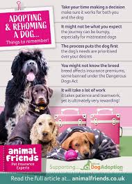 Find out how to get in touch. Happy National Dog Adoption Day We Ve Animal Friends Pet Insurance Facebook