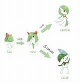 Pokemon X Ralts Evolution Chart Pokemon Quartz Evolution Chart
