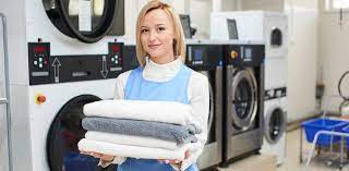 Sugar Land TX Wash and Fold Service | Laundry Genie