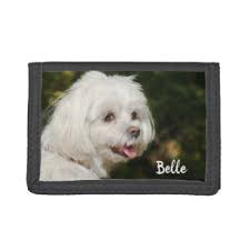 best maltese dog gift ideas zazzle