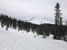 Image result for pictures of new avalanche above bunny Flats on mt. Shasta