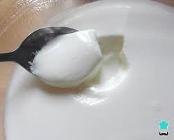 iogurte grego caseiro muito cremoso