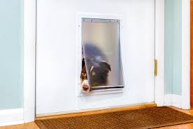 installing a dog door in a metal