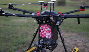 drones deploy dragon eggs to extinguish