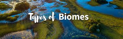 26 types of biomes explored