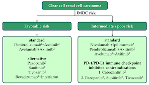 clear cell renal cell cancer patients