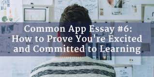 Common Application Prompt    Be Warned  Should You Gamble on Your College Application  Essay  College Essay Solutions