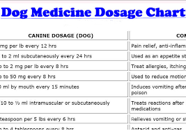 21 Described Medication Chart For Dogs
