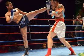 what is muay thai an introduction to