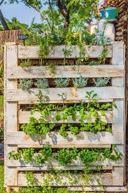 15 Edible Living Wall Ideas For Small