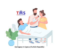 Donor sperm can also be used. Surrogacy In Cyprus Turkish Republic Cost Laws Turkish Medical Services