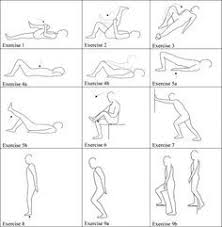 Physiotherapy Exercises For Lower Back Pain
