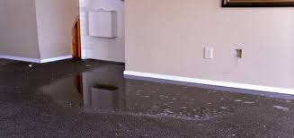 water damaged carpet cleaning tips jp