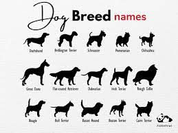 dog breed names silhouette clipart