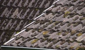 Are there insurance coverage limitations on my roof? What To Do When Your Roof Starts Leaking Hometree