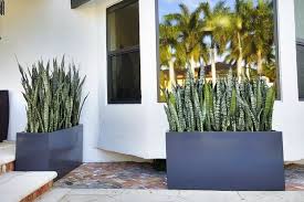 Top 10 Rectangle Planter Ideas By