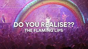 the flaming lips do you realise