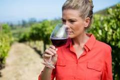 What red wine is easiest to drink?