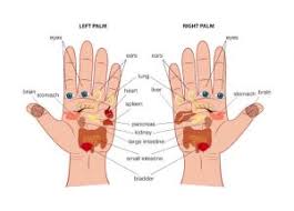 Reflexology Hand Chart Locate Reflex Points For Relaxation