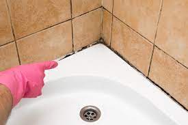 how to get rid of bathroom mildew