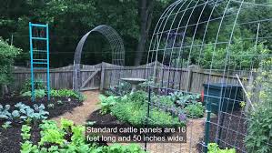 Cattle Panel Trellis How To Build A