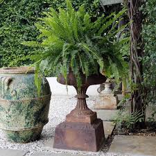 Image Result For Cast Iron Urns With