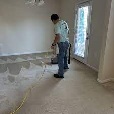 the best 10 carpet cleaning in cary nc