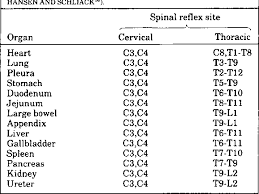 Table 2 From Viscerosomatic Reflexes A Review Semantic