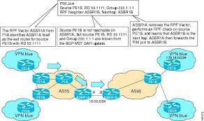 ip multicast mvpn configuration guide