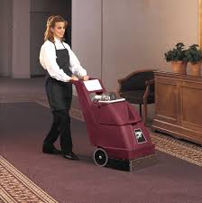 interim carpet cleaning