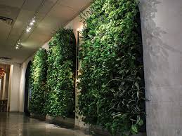 Living Plant Walls Green Oasis