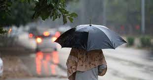 Monsoon 2020: Rainy week for Punjab and Haryana, heavy showers on two days  | Skymet Weather Services