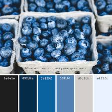 Blue black and white color scheme. Blueberries Mary Margaretmarx Color Colors Colour Colours Colorpalette Colorpalettes Palette Black Color Palette Color Palette Design Blue Palette
