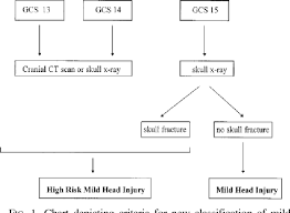 Figure 1 From High Risk Mild Head Injury Semantic Scholar