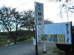 姉川の戦い - Wikipedia
