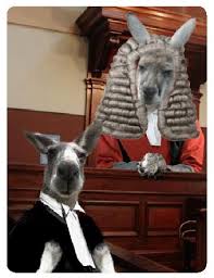 Image result for Photo  kangaroo Court